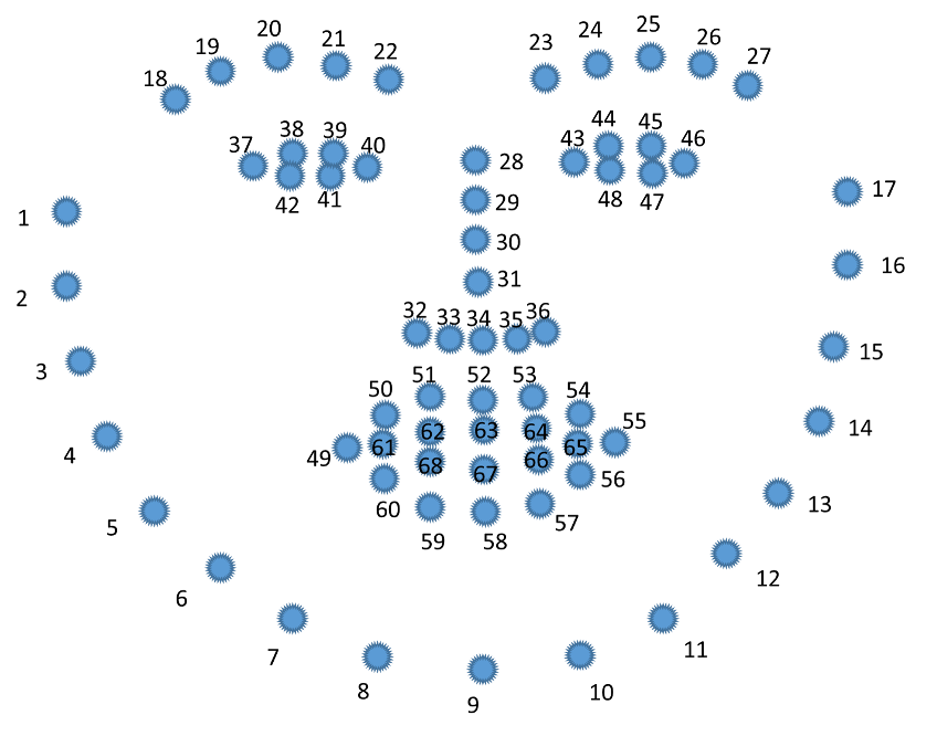 Visual representation of the facial landmarks calculated by OpenDBM, which relies on OpenFace and OpenCV for its measurements.
